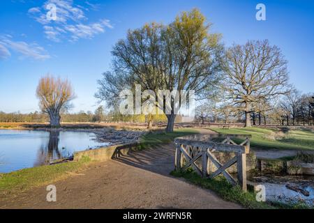 Vélo et sentier autour des étangs de Bushy Park par un matin de printemps froid et ensoleillé Banque D'Images