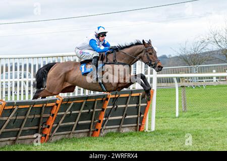 Course 6 à Wincanton, le 3 février 2022 Banque D'Images