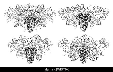 Branche de raisin avec des feuilles et des baies. Décorations avec vigne, vigne. Illustration vectorielle d'esquisse dessinée à la main Illustration de Vecteur