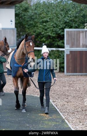 Mares' Open National Hunt Flat course à Wincanton, le 3 février 2022 Banque D'Images