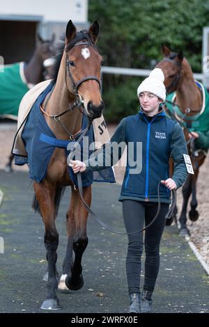 Mares' Open National Hunt Flat course à Wincanton, le 3 février 2022 Banque D'Images