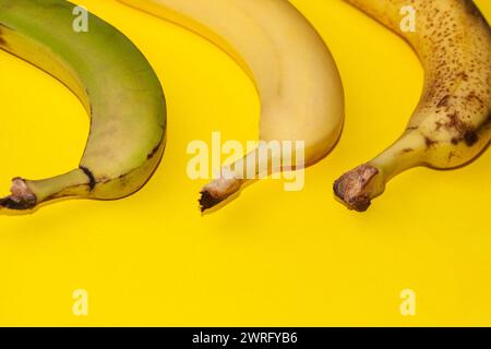 Ensemble de fruits de banane à différents stades de maturation isolés sur fond blanc. Concept alimentaire. Le fichier contient des chemins de détourage. Photo de haute qualité Banque D'Images