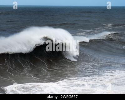 Olas gigantes en la Playa Norte de Nazaré, en el distrito de Leiría, provincia de Estremadura. Portugal Banque D'Images