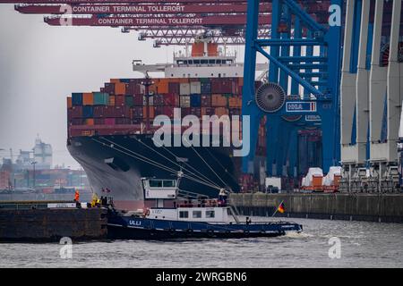 Terminal à conteneurs Tollerort, les navires porte-conteneurs sont chargés et déchargés, l'un des 4 terminaux à conteneurs dans le port de Hambourg, Hambourg, Allemagne Banque D'Images