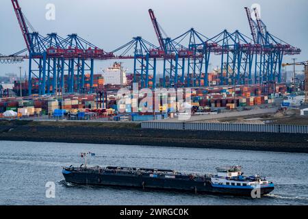 Terminal à conteneurs Tollerort, les navires porte-conteneurs sont chargés et déchargés, l'un des 4 terminaux à conteneurs dans le port de Hambourg, Hambourg, Allemagne Banque D'Images