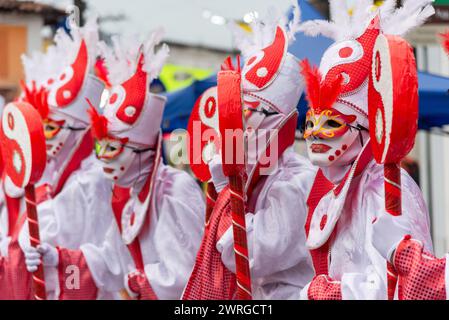 Maragogipe, Bahia, Brésil - 11 février 2024 : des gens en costumes sont vus pendant le carnaval dans la ville de Maragogipe à Bahia. Banque D'Images