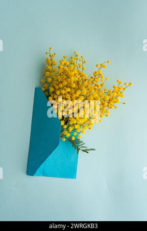 Vue aérienne d'un bouquet de fleurs de mimosa jaune dans une enveloppe sur une table Banque D'Images
