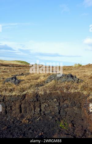 Vue sur les tourbières des Highlands écossais. La tourbe fraîchement coupée de la tourbière repose sur la prairie près du bétail, montrant la tourbière drainant Banque D'Images