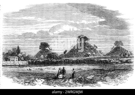 Les collines de Bartlow (tombes des Romains), Essex, 1864. Gravure à partir d'une photographie de Mr. G. Collins, de '...quatre tumulus, disposés en rangée et de taille variable, le plus grand étant de 142 pieds. en diamètre à la base et 44 pieds. Hautes... fouilles... prouvent clairement qu'il s'agit d'œuvres romaines. De nombreuses reliques sépulcrales curieuses et précieuses y ont été découvertes, mais elles ont malheureusement été perdues dans l'incendie qui a brûlé Easton Lodge, près de Dunmow, le siège du vicomte Maynard, sur les domaines duquel les collines sont situées. On craignait que ces vénérables monuments soient condamnés à la destruction in ord Banque D'Images