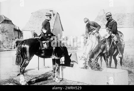 Officiers français arrosant les chevaux, entre c1914 et c1915. Officiers français et chevaux pendant la première Guerre mondiale Banque D'Images