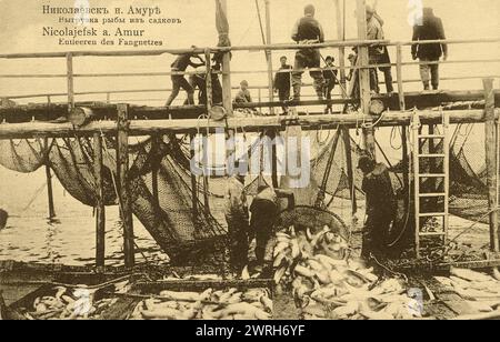 Nikolaevsk-sur-l'amour. Déchargement du poisson des cages, 1900. Carte postale d'une collection de 103 cartes postales de la ville de Nikolaïevsk-sur-l'amour au début du XXe siècle. La collection fournit un témoignage photographique unique du développement de la ville et de la région du Bas-amour à cette période. Les cartes offrent des vues de l'aspect architectural de la vieille ville (particulièrement précieux, parce que pendant la guerre civile russe Nikolaïevsk-sur-l'amour a été détruit et brûlé), ainsi que de la culture, la vie quotidienne et les occupations des résidents, et des différents groupes ethniques qui composent la population de th Banque D'Images