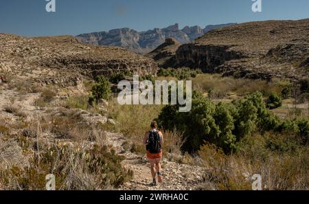 Woman randonne à côté du Rio Grand le long du Hot Springs Trail à Big Bend Banque D'Images