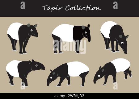 ensemble d'illustrations vectorielles tapir. Tapir mignon isolé sur fond blanc. Illustration de Vecteur