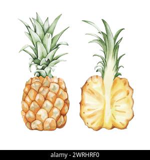 Aquarelle ananas illustration dessinée à la main Banque D'Images