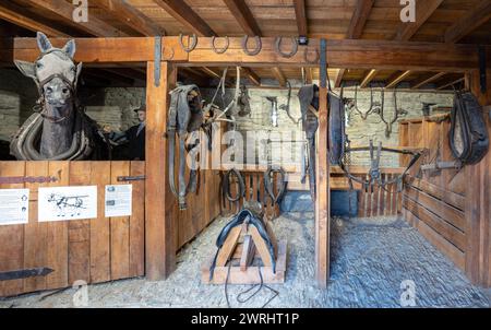 Cromwell, Nouvelle-Zélande - 30 décembre 2023. À l'intérieur d'une ancienne écurie à Cromwell Heritage Precinct, avec des stalles en bois, un chevalet et de l'équipement équestre. Banque D'Images