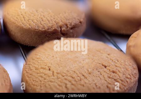 Une photo macro de biscuits chai fraîchement cuits avec une faible profondeur de champ, soulignant leur texture et leurs épices chaudes. Banque D'Images