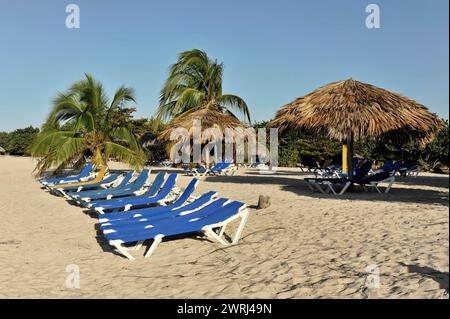 Rangée de transats vides sous parasols sur une plage de sable avec des palmiers, Trinidad, Cuba, Amérique centrale Banque D'Images