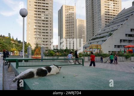 Un chat est allongé sur une table de ping-pong, les enfants jouent sur une aire de jeux dans un lotissement moderne avec des immeubles de grande hauteur à Téhéran, 22/05/2016 Banque D'Images