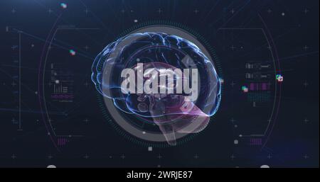 Image d'un balayage de l'oscilloscope avec le cerveau humain tournant sur fond noir Banque D'Images