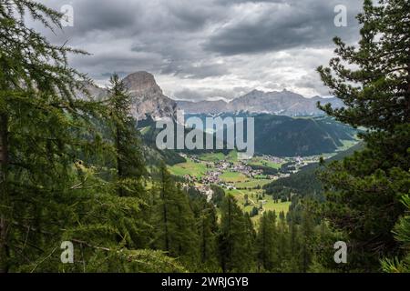 Vue depuis la forêt Banque D'Images