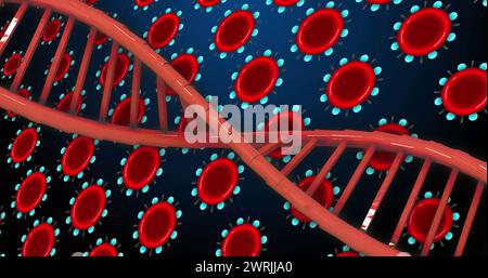 Image de l'adn au-dessus des globules rouges sur fond bleu Banque D'Images