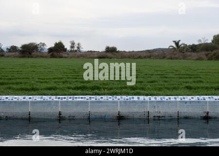 Un réservoir d'eau pour l'irrigation agricole, avec de l'espace pour le texte Banque D'Images