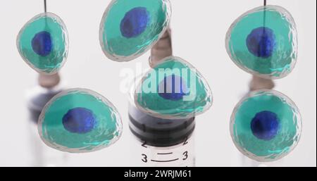 Image de globules blancs sur des boîtes de laboratoire sur fond gris Banque D'Images