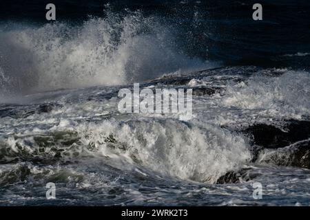 COIFFAGE BLANC, SOMMET, VAGUES, MERS ORAGEUSES, MER BALTIQUE : vagues de coiffage blanc dans une tempête de la mer Baltique au large de la côte de Jurmo, une petite île de l'archipel de Turku, au large de la côte sud-ouest de la Finlande. Photo : Rob Watkins. INFO : Jurmo Ia une population d'environ 50 personnes, et est connu pour son terrain accidenté, ses paysages pittoresques et sa flore et sa faune uniques. Jurmo est la dernière partie aérienne du système géologique de crêtes de Salpausselkä de l'âge glaciaire, qui traverse la Finlande. Banque D'Images