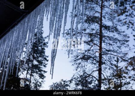 Glaçons massifs sur une maison d'été en hiver sur le lac gelé dans la région de Kajaani en Finlande centrale. La ville de Kajaani et la région environnante de Kainuu est un havre de paix de la vie finlandaise authentique dans la tranquillité et la beauté naturelle du cœur de la Finlande. Le magnifique paysage naturel, y compris le magnifique lac Oulujärvi, offre un cadre idyllique pour les activités de plein air, y compris la pêche, la randonnée, le ski et la motoneige. Banque D'Images