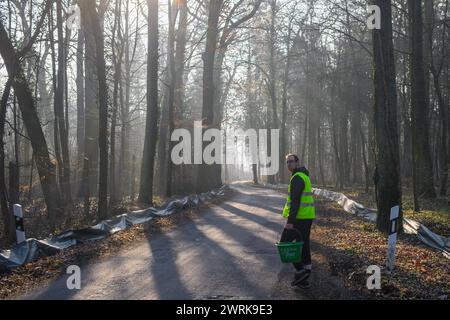 13 mars 2024, Saxe-Anhalt, Ramstedt : Kevin Trawiel, volontaire de l’Union allemande pour la conservation de la nature et de la biodiversité (NABU), traverse une route dans une forêt près d’une clôture pour crapauds avec un seau de crapauds recueillis. En Saxe-Anhalt, la migration des amphibiens a déjà dépassé son apogée. En raison du temps doux et humide de février, les employés et les bénévoles avaient déjà installé la clôture pour crapauds à Ramstedt le 17 février 2024. En 2023, la clôture pour crapauds n'a été érigée que le 13 mars 2023. Le pic de la migration des amphibiens en 2023 a été le 20 mars avec 1113 animaux. Cette année, la plupart des amphibiens de Ram Banque D'Images