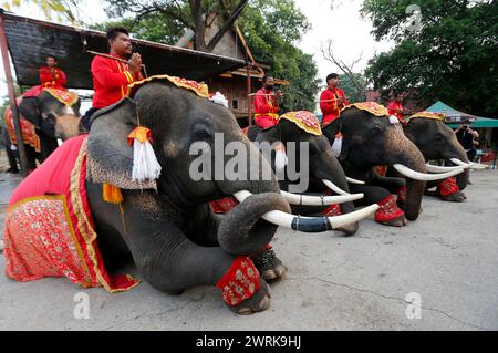 Ayutthaya, Thaïlande. 13 mars 2024. Les mahouts sont assis sur leurs éléphants et prient pendant la célébration nationale de la fête de l'éléphant en Thaïlande dans l'ancienne ville d'Ayutthaya. Lundi, les thaïlandais ont honoré l'éléphant avec des fruits spéciaux et des cérémonies bouddhistes à travers le pays pour rendre hommage à leurs animaux nationaux. Crédit : SOPA images Limited/Alamy Live News Banque D'Images