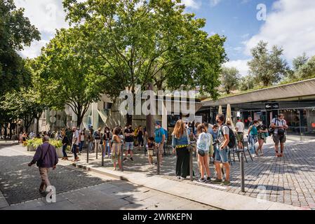 Les gens attendent l'entrée à Livraria Lello, célèbre librairie dans la ville de Porto, Portugal Banque D'Images