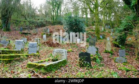 Le cimetière de l'église Minster, Boscastle, Cornouailles, Royaume-Uni - John Gollop Banque D'Images