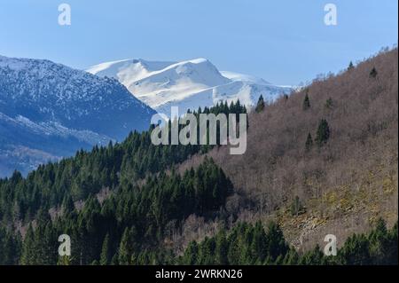 Les pics montagneux enneigés s'élèvent majestueusement au-dessus d'une forêt verdoyante sous un ciel bleu clair, mettant en valeur la beauté naturelle. Banque D'Images