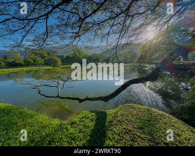 Jardin du lac Taiping situé dans la ville de Taiping à Perak, Malaisie Banque D'Images
