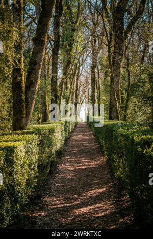 Vézac, Nouvelle-Aquitaine, France - 7 mars 2024 - Un sentier arboré entre les haies de buis dans les jardins de Marqueyssac, le jardin i le plus visité Banque D'Images