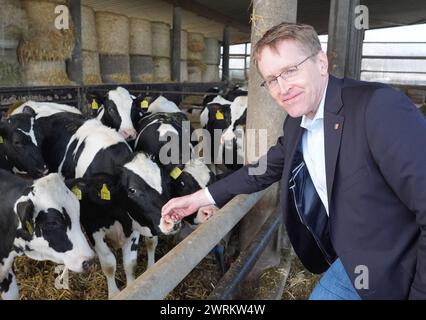 13 mars 2024, Schleswig-Holstein, Mörel : Daniel Günther (CDU), ministre-président du Schleswig-Holstein, se tient dans l'étable de la ferme du président agricole Lucht. Le ministre-président Günther s'est rendu dans la ferme du président agricole du Schleswig-Holstein, Lucht, pour discuter de la situation actuelle dans le domaine de l'agriculture. Photo : Marcus Brandt/dpa Banque D'Images