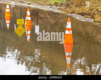 ligne de cônes orange dans une flaque d'eau Banque D'Images