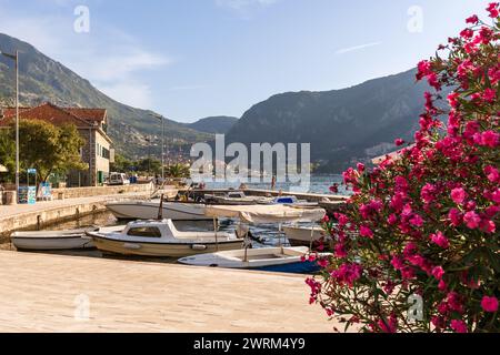 Kotor, Monténégro - 20 septembre 2023 : Paysage d'été avec bateaux amarrés, mer Adriatique et montagnes Banque D'Images