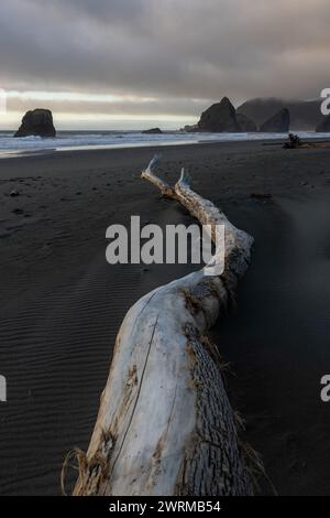 Une longue bûche est posée sur la plage, avec l'océan en arrière-plan. La scène est calme et paisible, avec les vagues qui claquent doucement sur le rivage. Le l Banque D'Images