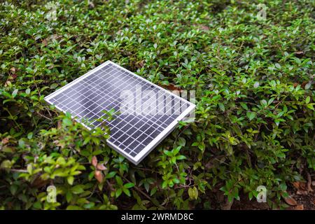 Un petit panneau solaire repose sur un lit dense de feuilles vertes, illustrant une intégration énergétique écologique avec la nature. Banque D'Images