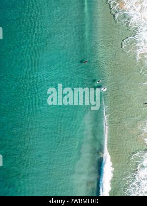 Vue aérienne des surfeurs sur les eaux tranquilles d'une plage de Fuerteventura, avec des vagues douces lançant le rivage. Banque D'Images