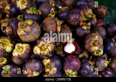 Vente de mangoustes, Psar Thmei Central Market, Phnom Penh, Cambodge, Indochine, Asie du Sud-est, Asie Copyright : Godong 809-8902 Banque D'Images