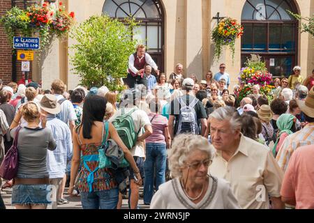 Le festival folklorique Sidmouth en 2008 Banque D'Images