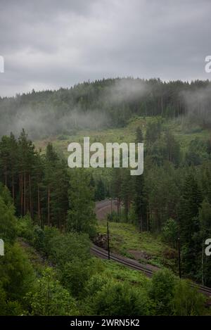 Paysage montagneux norvégien avec des arbres verts et du brouillard blanc avec des voies ferrées qui le traversent. Banque D'Images