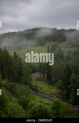 Paysage montagneux norvégien avec des arbres verts et du brouillard blanc avec des voies ferrées qui le traversent. Banque D'Images