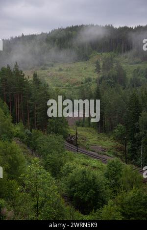 Paysage montagneux norvégien avec des arbres verts et du brouillard blanc avec des voies ferrées qui le traversent. Banque D'Images