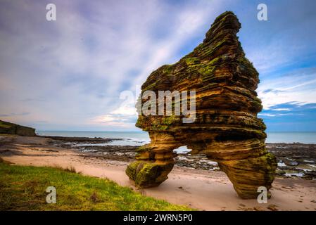 gows castle stack covesea lossiemouth moray scotland. Banque D'Images