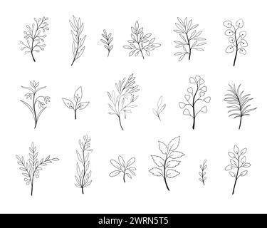 Ensemble de feuilles et de brindilles noires et blanches dessinées à la main. Ensemble de feuilles et de brindilles noires et blanches dessinées à la main Illustration de Vecteur