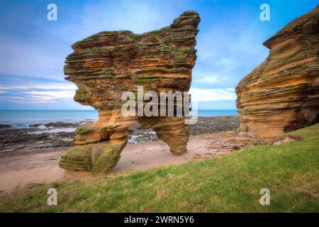 gows castle stack covesea lossiemouth moray scotland. Banque D'Images